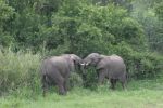 safrica_dec_13_image4.jpg